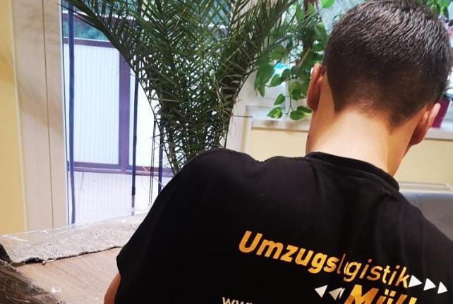 Preise für Ihren Studentenumzug in Strehla